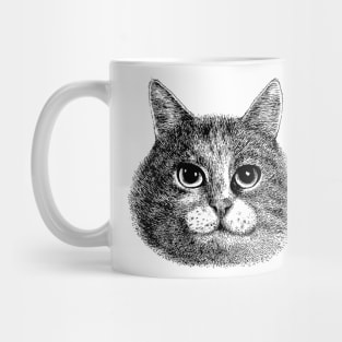 CATS Mug